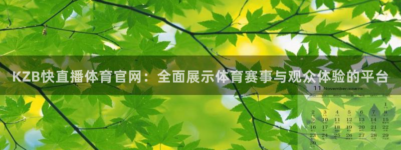 KZB快直播体育官网：全面展示体育赛事与观众体验的平台