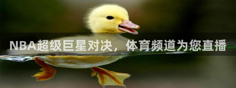 NBA超级巨星对决，体育频道为您直播