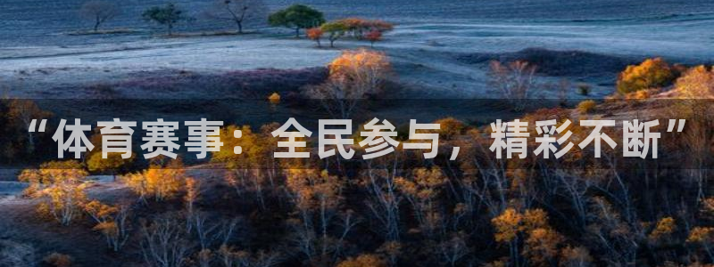 “体育赛事：全民参与，精彩不断”