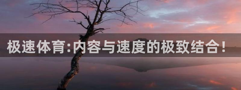 极速体育:内容与速度的极致结合！