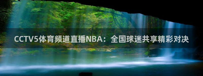 CCTV5体育频道直播NBA：全国球迷共享精彩对决