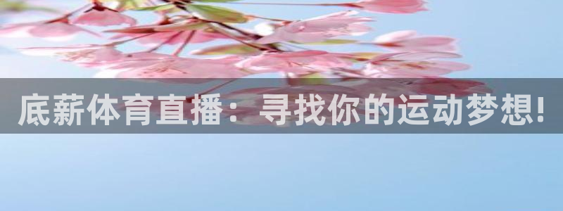 底薪体育直播：寻找你的运动梦想!
